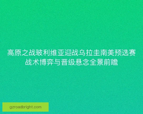 高原之战玻利维亚迎战乌拉圭南美预选赛战术博弈与晋级悬念全景前瞻