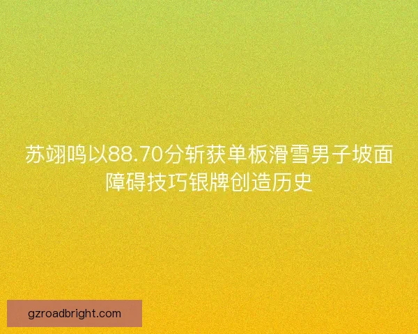 苏翊鸣以88.70分斩获单板滑雪男子坡面障碍技巧银牌创造历史