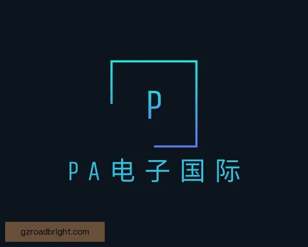 发现PA电子